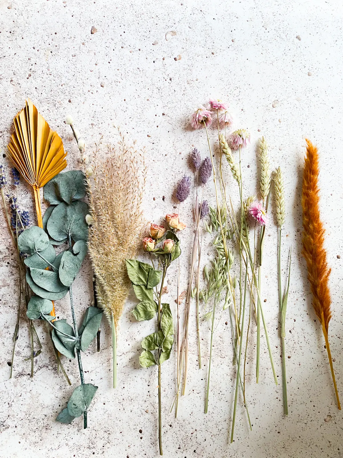 Dried stems laid out side by side: pampas grass, eucalyptus, bunny tails, strawflowers and wheat