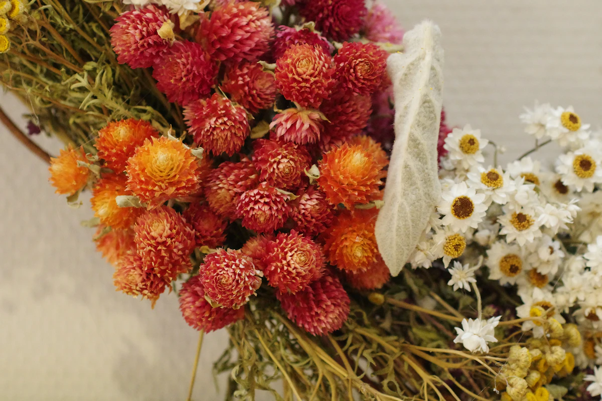 A bunch of dried red and orange strawflowers beside small white daisies