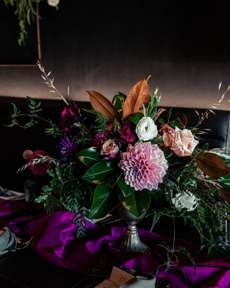 Midnight Dahlia: a pink dahlia with dark foliage, magnolia leaves and burgundy blooms