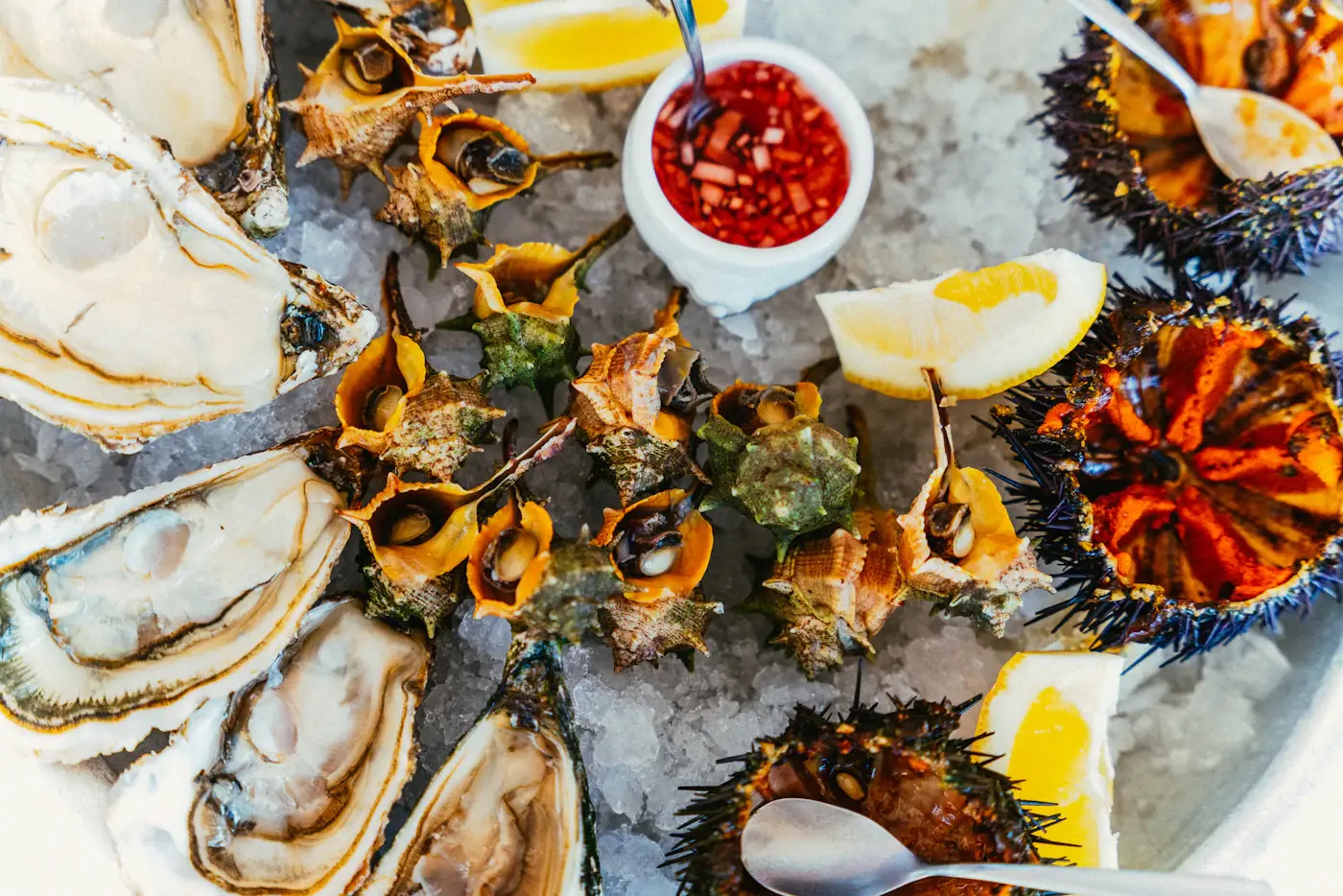 A seafood platter on crushed ice: oysters, sea snails, sea urchins, lemon wedges and a dish of mignonette