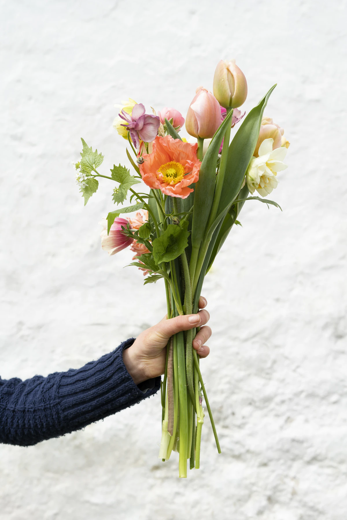 A hand holding a loose bunch of orange poppies and ranunculus against a white wall